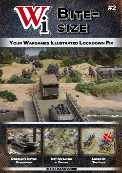 Wi Bite-Size Issue 2